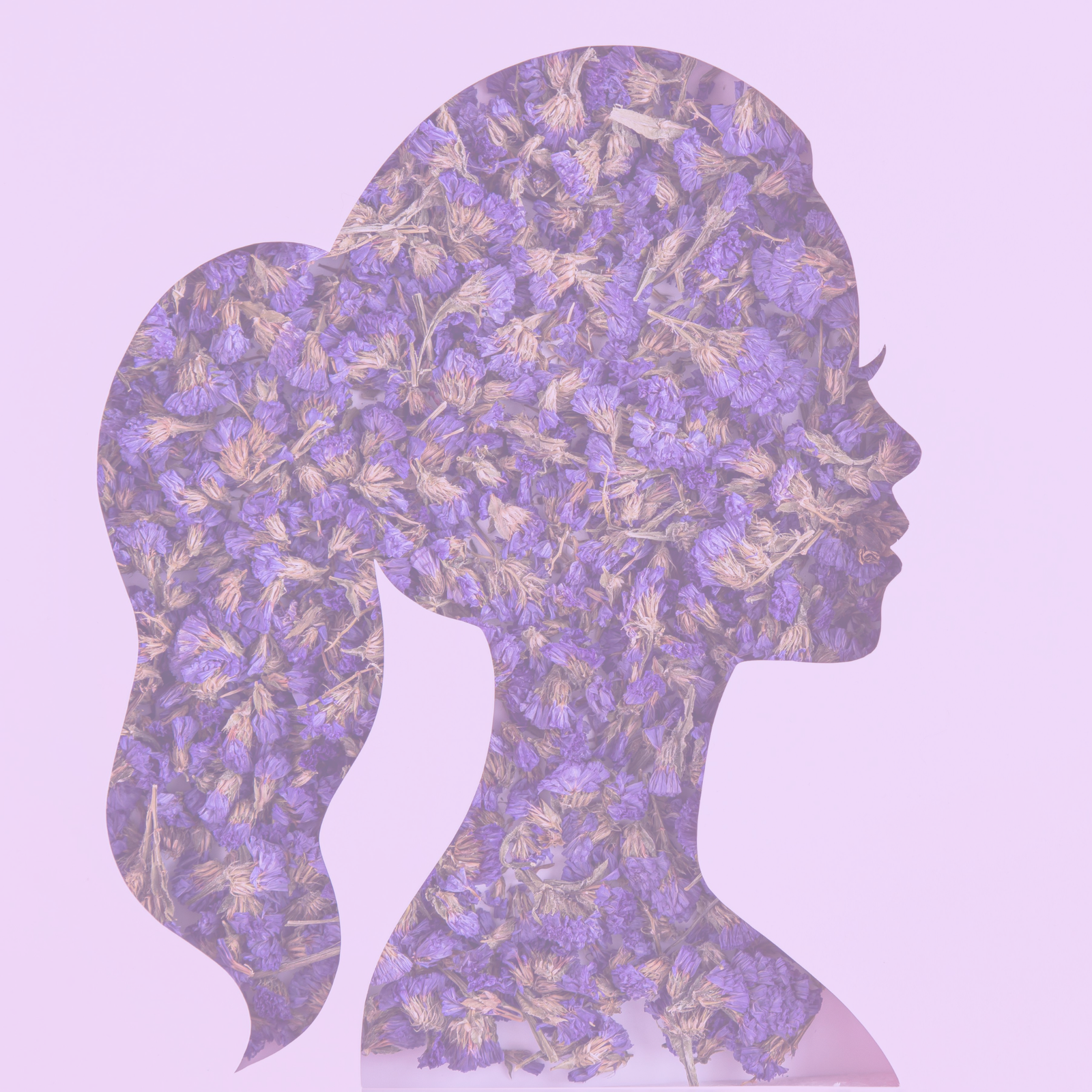 Introducing FemEntrepreneur